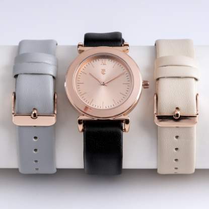 Picture of Trinity Ladies Changeable Strap Watch Set